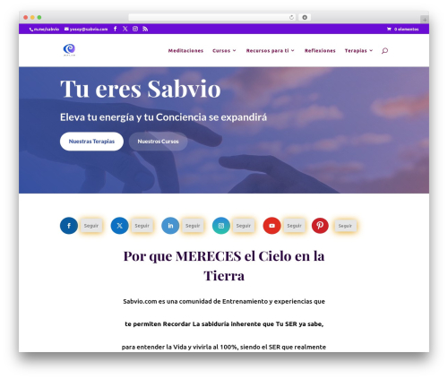 Theme WordPress Divi - sabvio.com