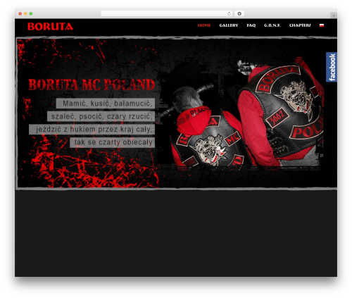 WordPress theme Hypernova - boruta.pl