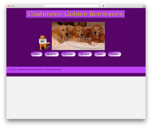 Beaver Builder Theme WordPress theme - cashmeregoldenretrievers.com