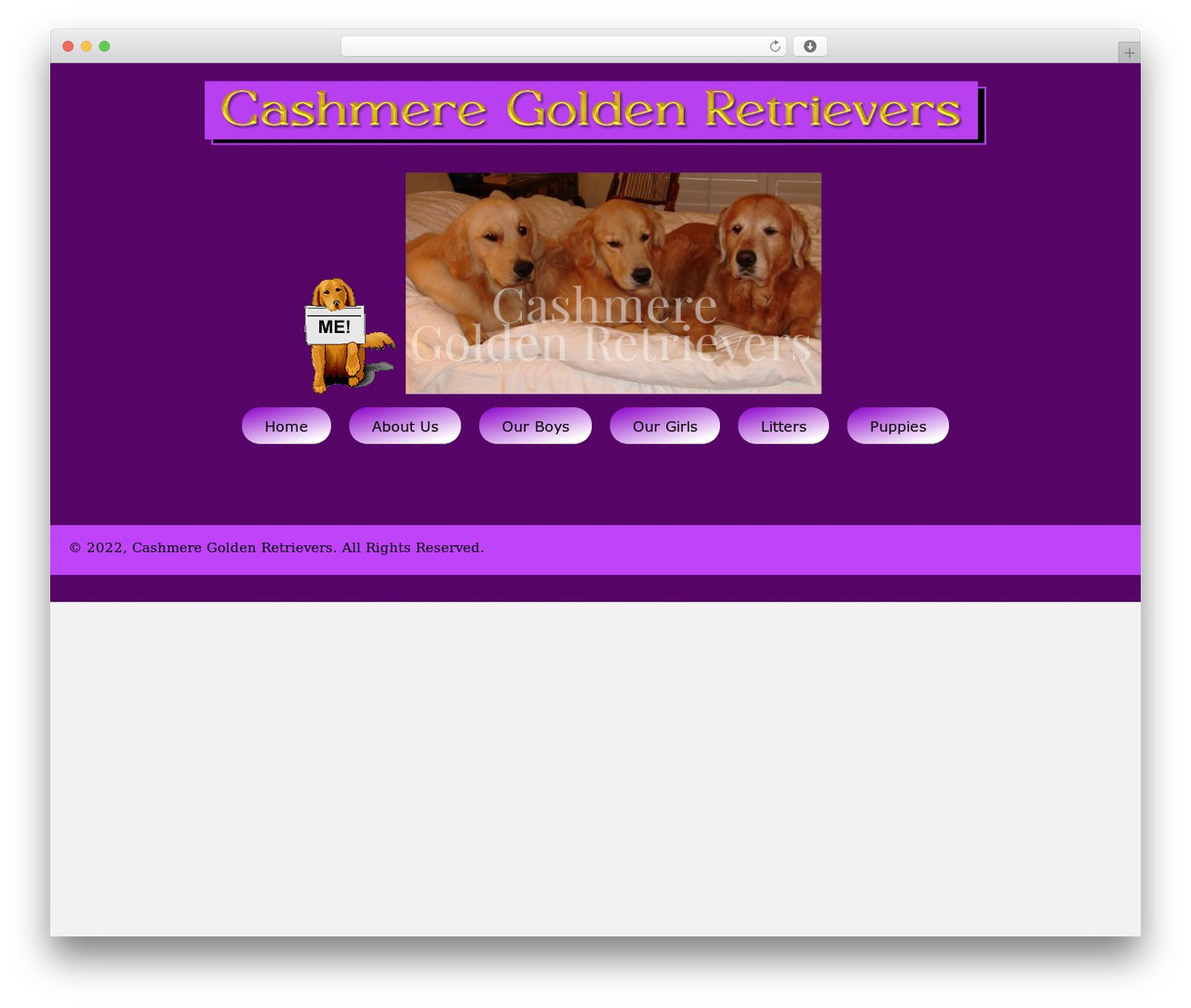 Beaver Builder Theme WordPress theme - cashmeregoldenretrievers.com Beaver Builder Theme WordPress theme - cashmeregoldenretrievers.com