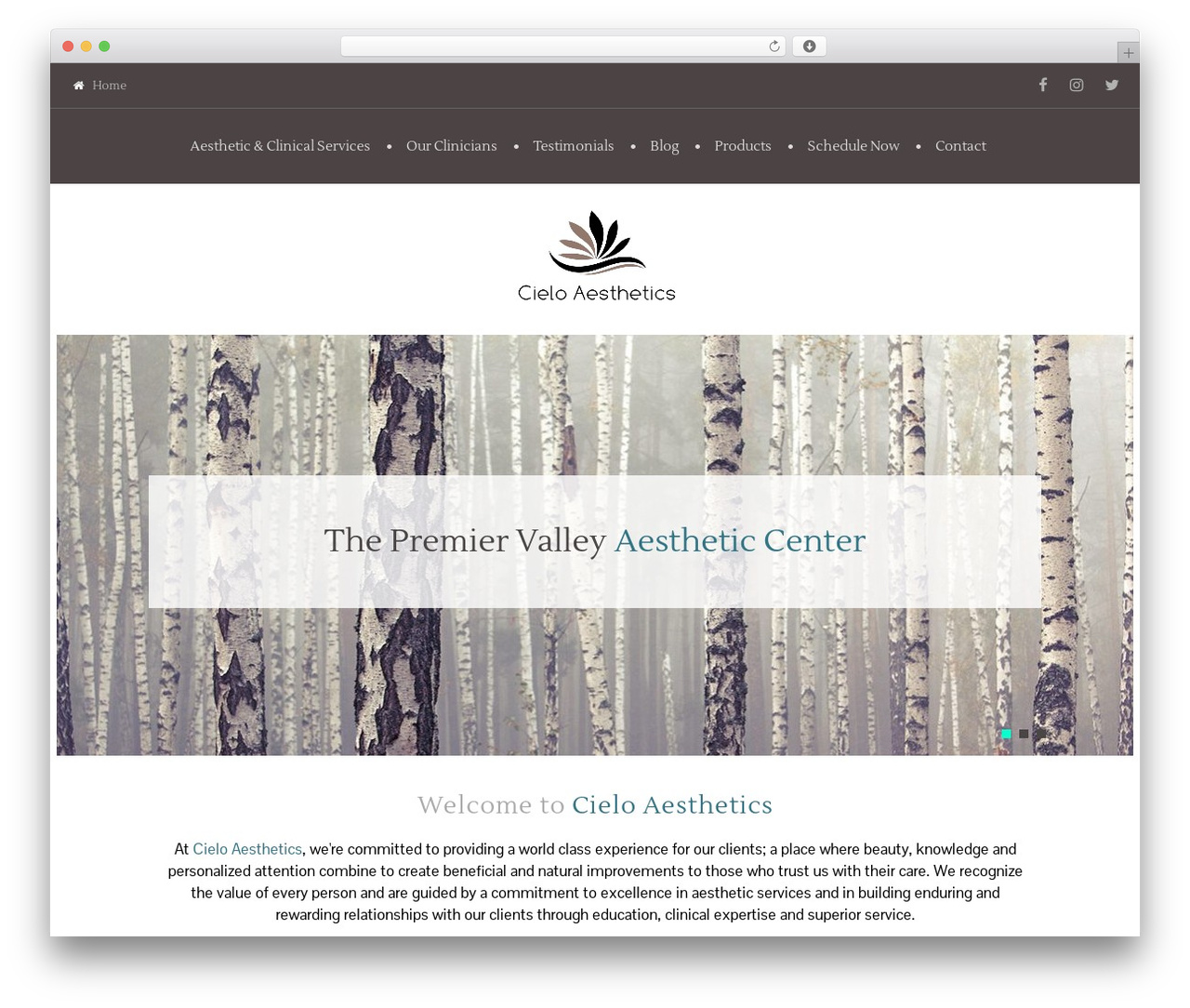 cherry WordPress theme - cieloaesthetics.com