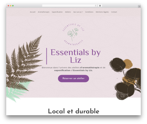 Divi form builder WordPress plugin - essentials-by-liz.ch
