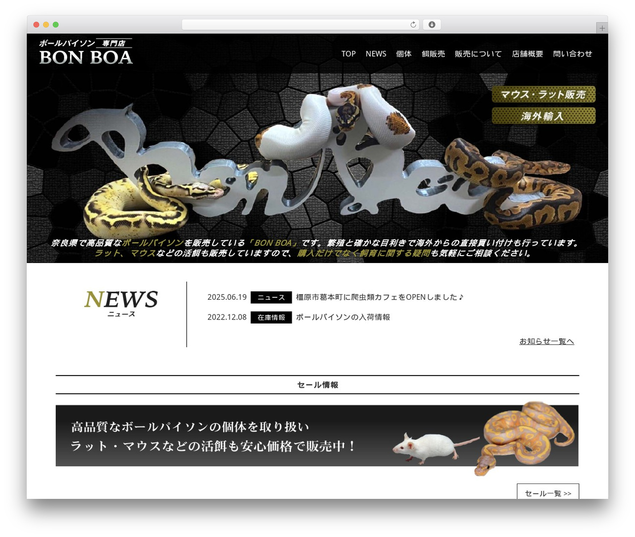 First WordPress theme - bonboa.shop First WordPress theme - bonboa.shop