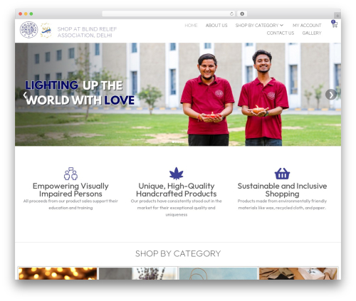 Supex WordPress theme - shop.blindrelief.org