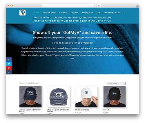Theme WordPress Divi - gotmyv.com