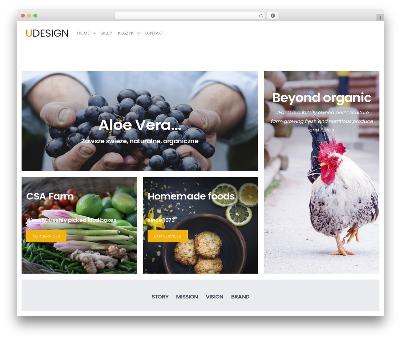UDesign WordPress ecommerce theme - aloefuerte.pl UDesign WordPress ecommerce theme - aloefuerte.pl