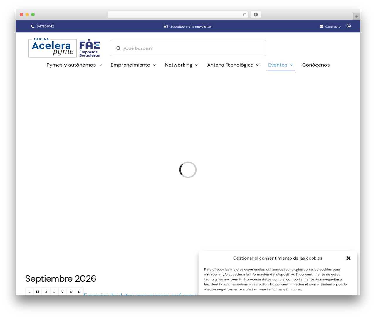 WordPress theme Avada - acelerapymedigital.es