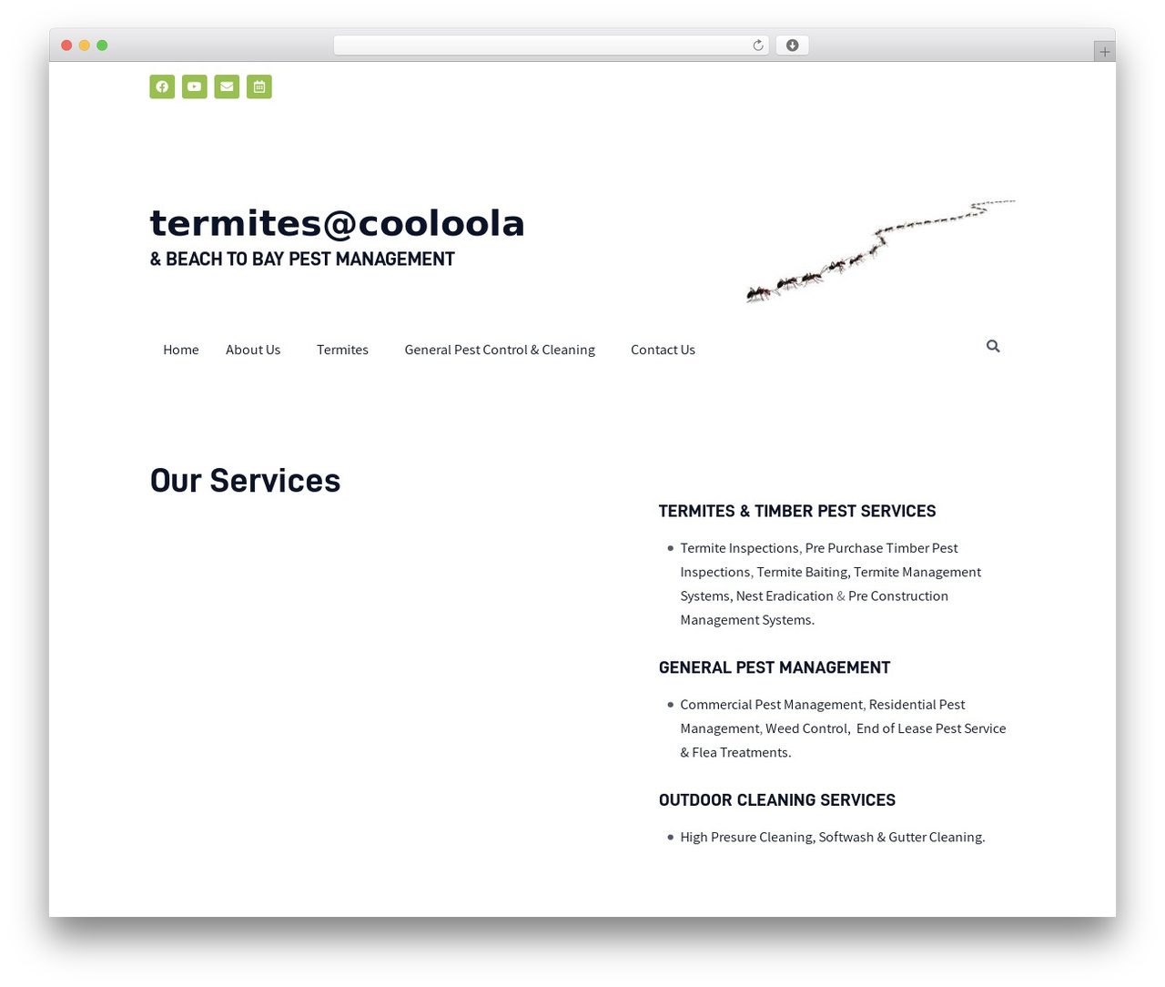 Bugster WordPress theme - termitescooloola.com Bugster WordPress theme - termitescooloola.com