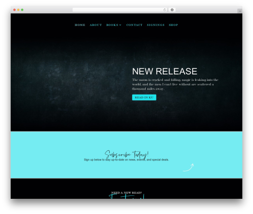 Divi WordPress theme - reeserivers.com