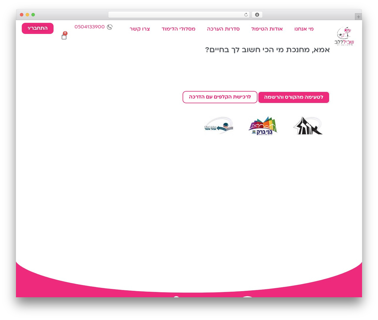 Hello Elementor theme WordPress - shvillalev.co.il