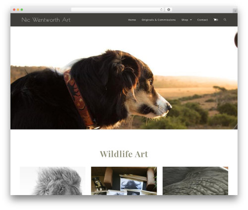 Hide Shipping Method For WooCommerce (hide-shipping-method-for-woocommerce) free WordPress plugin - nwentworthart.co.za