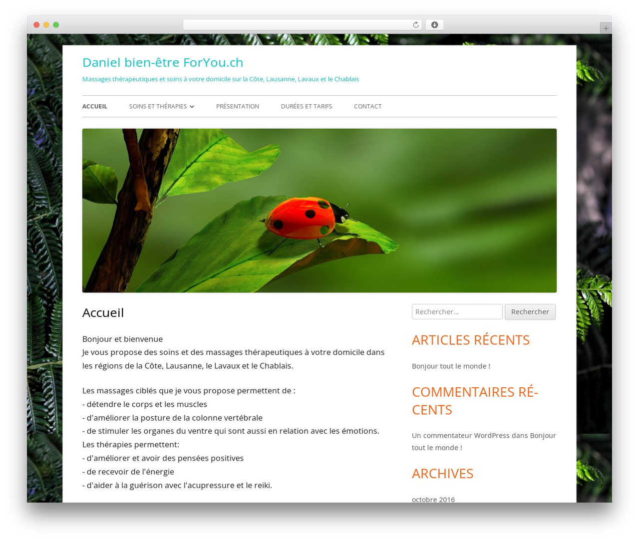 Tiny Framework free WordPress theme - danielbienetre.com Tiny Framework free WordPress theme - danielbienetre.com