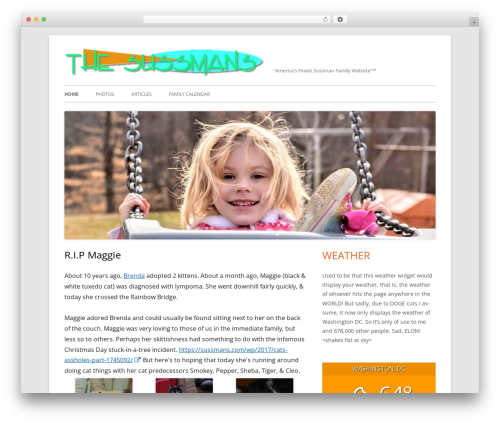 Tiny Framework WordPress website theme - sussmans.com/wp