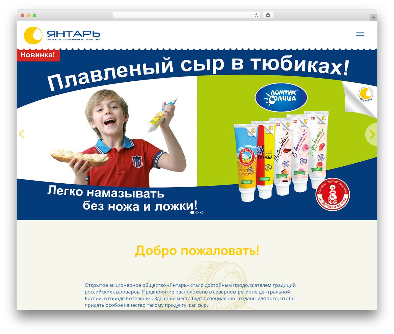 Flat Bootstrap WordPress theme - lomtic.com