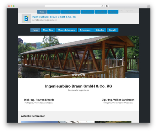 Select core WordPress plugin - braun-ing.de