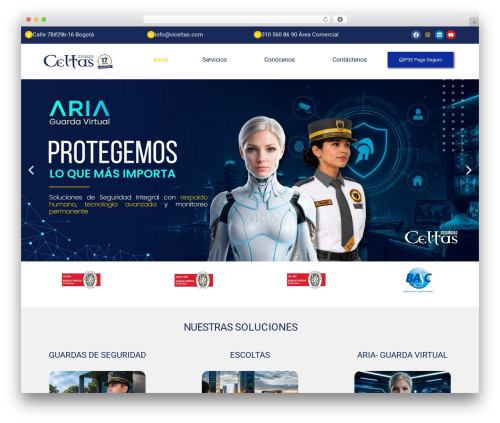 Thinkrank WordPress plugin - viceltas.com