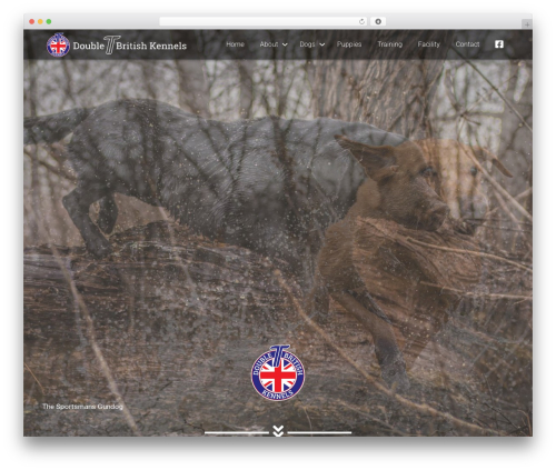 Beaver Builder Theme theme WordPress - britlabs.com