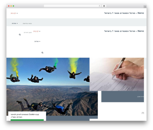 Buzz theme WordPress - nervomatrix.com