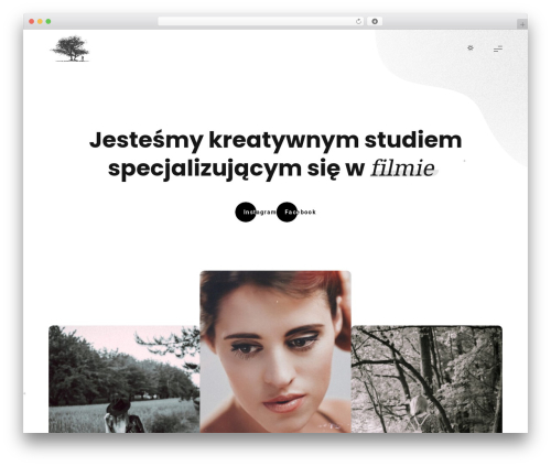 Evie theme WordPress - blacktreestudio.pl