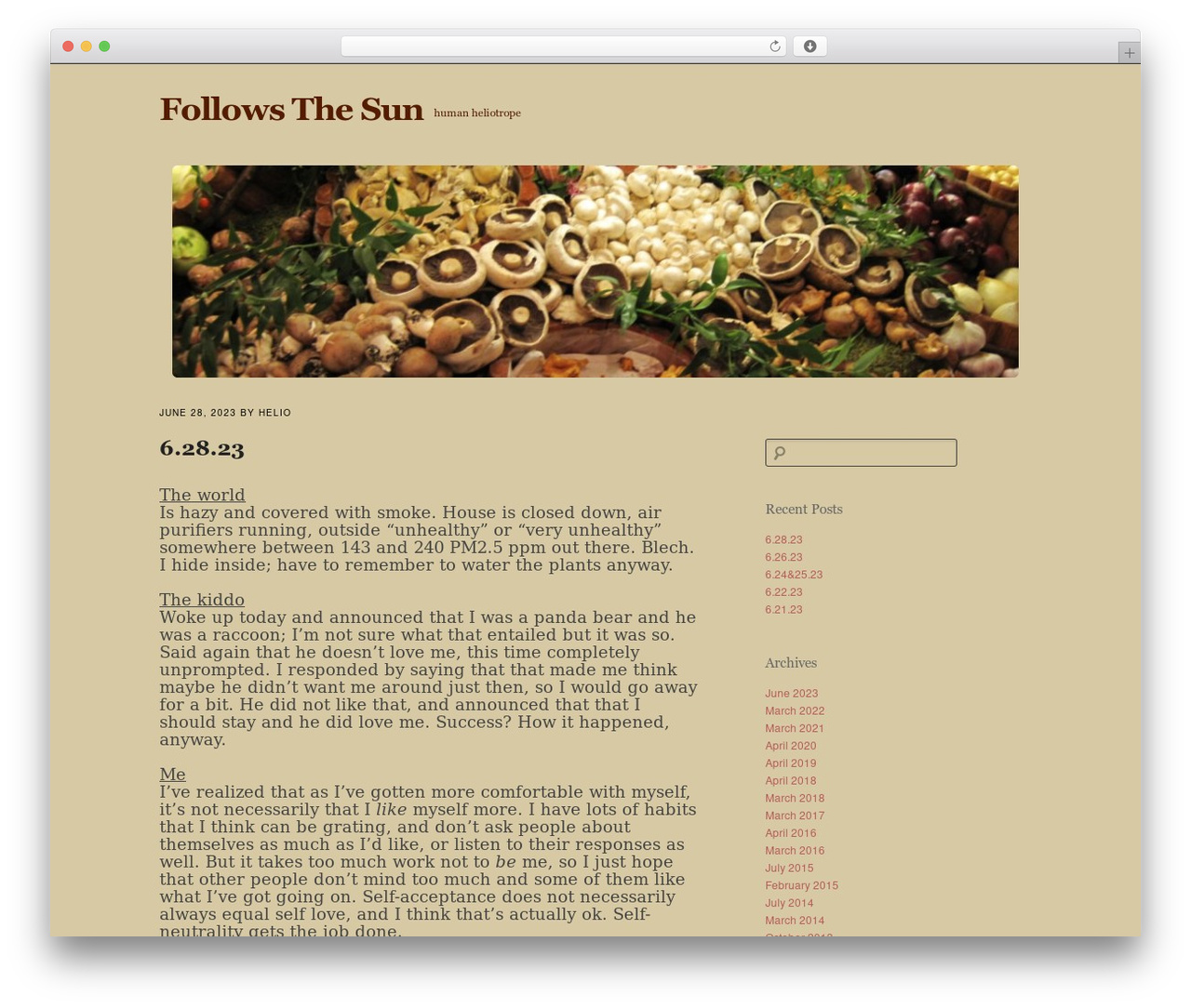 simpleX theme WordPress - followsthesun.com