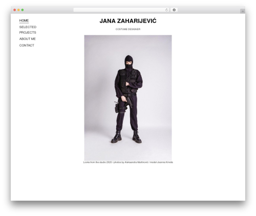 Reframe Plus WordPress theme - janazaharijevic.com