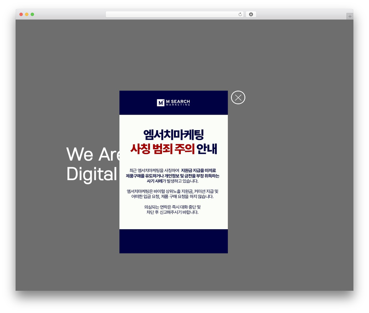 Salient theme WordPress - msearch.co.kr