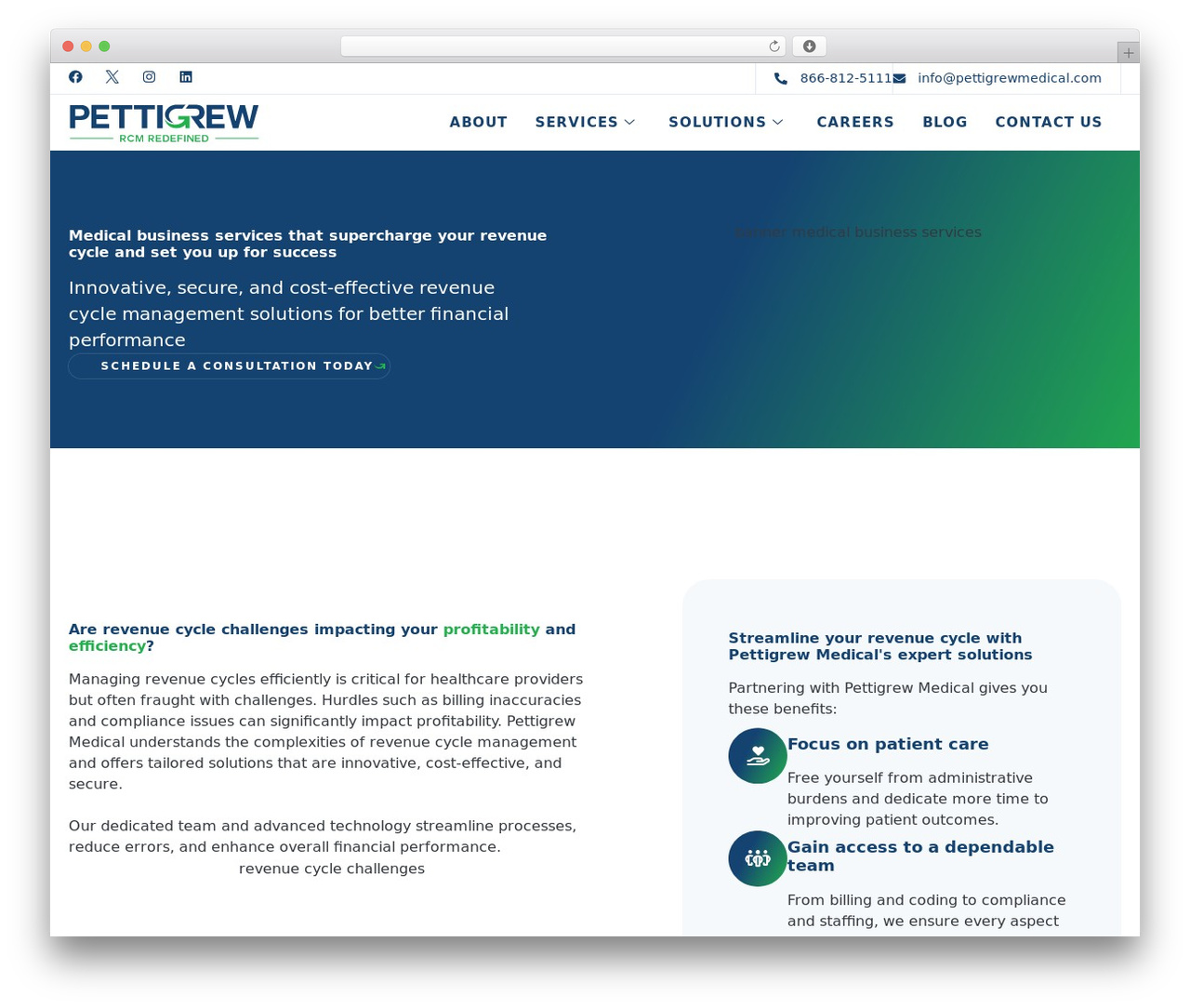 Theme WordPress Hello Elementor - pettigrewmedical.com