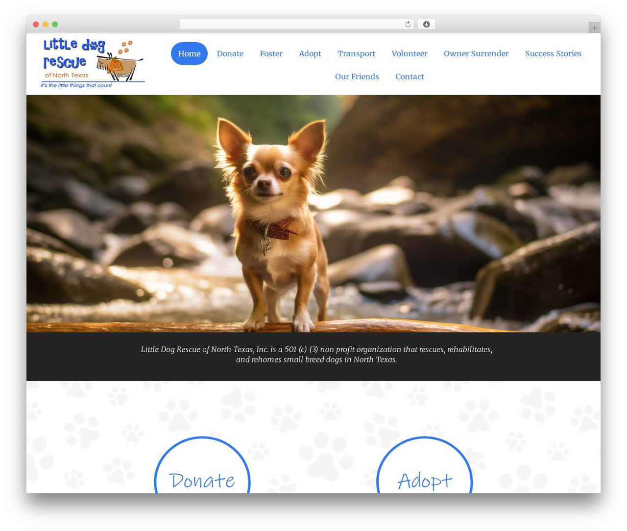 WordPress theme Bootstrap Basic - littledogrescuentx.org WordPress theme Bootstrap Basic - littledogrescuentx.org
