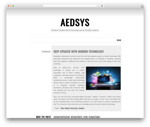Chunk WordPress theme - aedsys.com