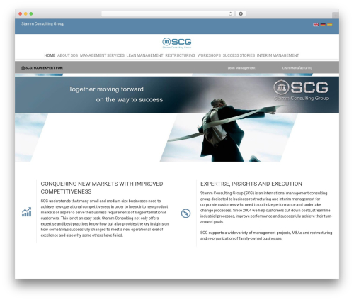 CleanLab WordPress theme - stammconsultinggroup.com