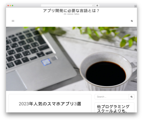 Idealist WordPress theme - newgenpay.com