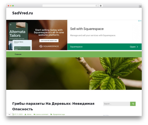 WordPress theme Newfangled - sadvred.ru