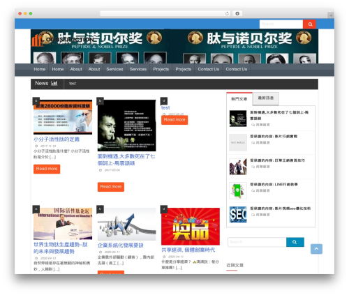 WordPress theme Republic - turn168.com