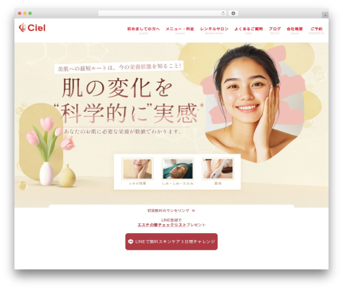Ystandard toolbox WordPress plugin - leciel2015.com