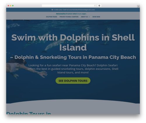 Divi accessibility 2.0.5 WordPress plugin - snorkelshellisland.com