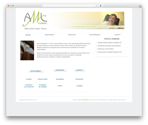 Delicate WordPress theme - amlconseil.fr