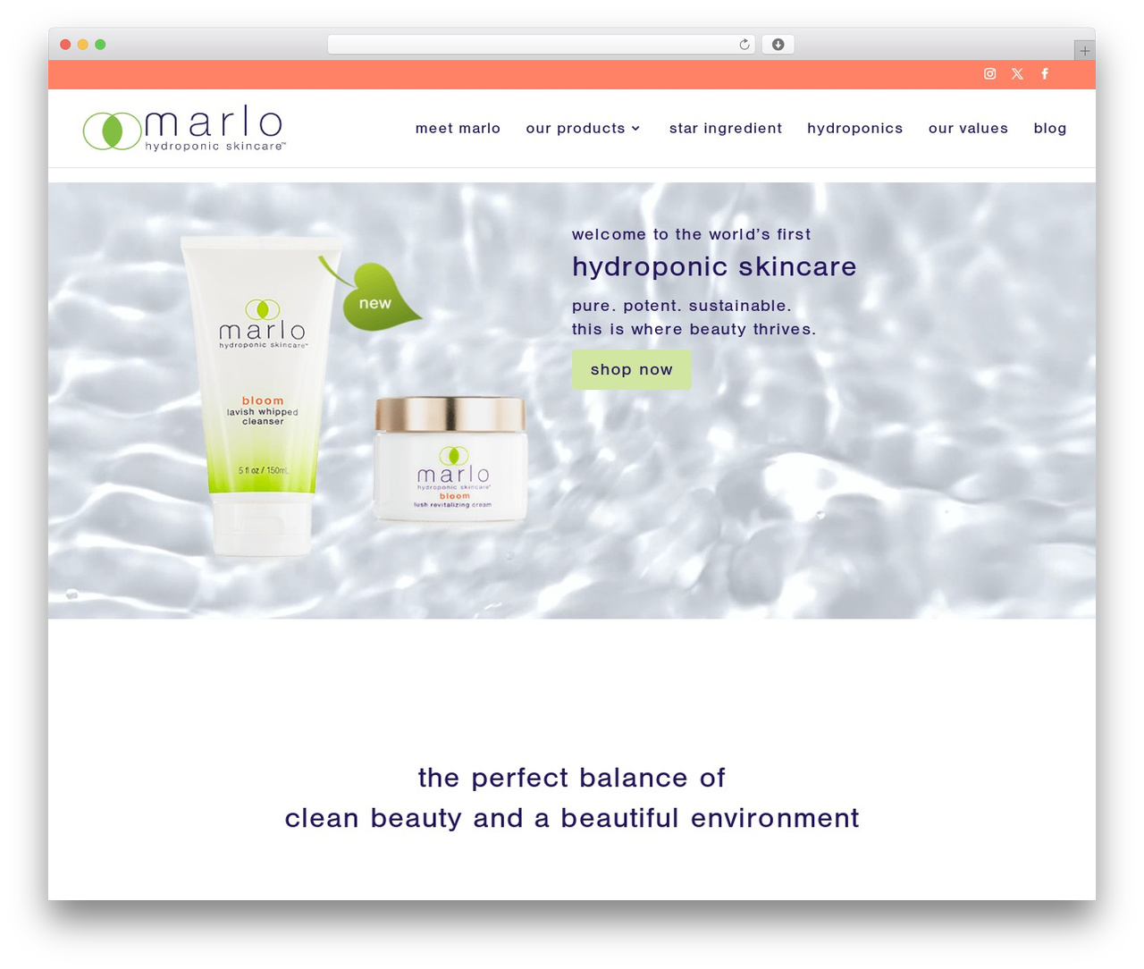 mhs-divi theme WordPress - marlohydroponics.com mhs-divi theme WordPress - marlohydroponics.com
