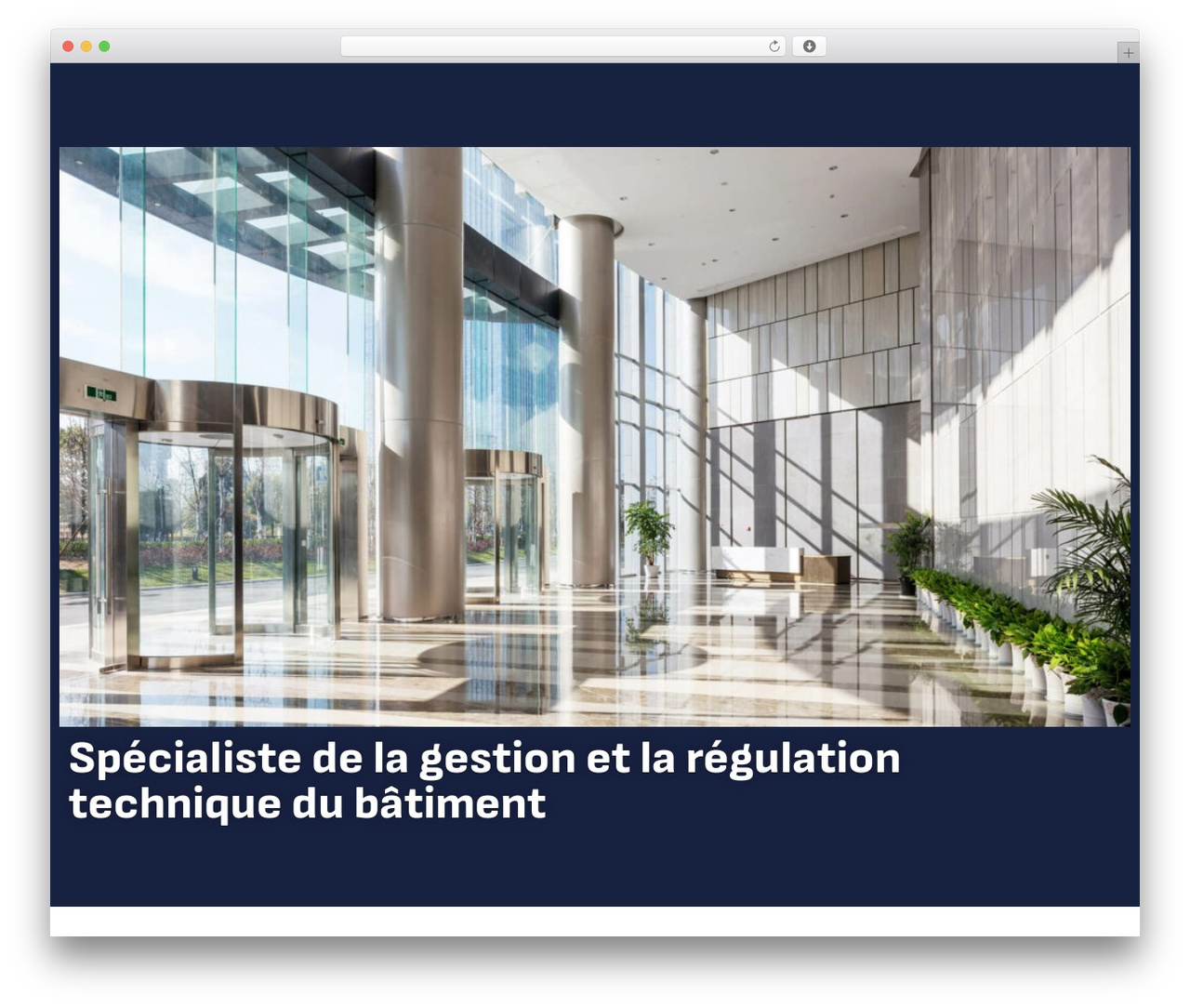 WordPress website theme Hello Elementor - iisb-batiment.fr