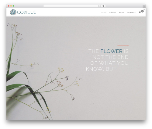 HyperX WordPress theme - copihuestudio.com