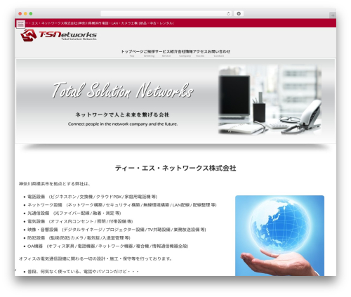 Lightning WordPress theme - tsnetworks.co.jp