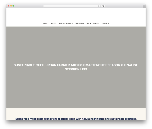 Theme WordPress Umami - stephenleecooks.com