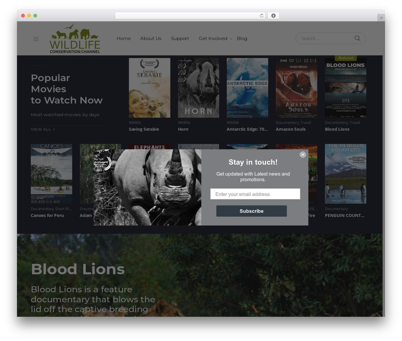 Vodi theme WordPress - wildlifeconservationchannel.com Vodi theme WordPress - wildlifeconservationchannel.com