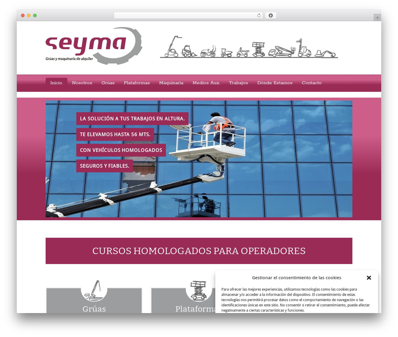 WordPress theme MultiPurpose - seymagruas.com