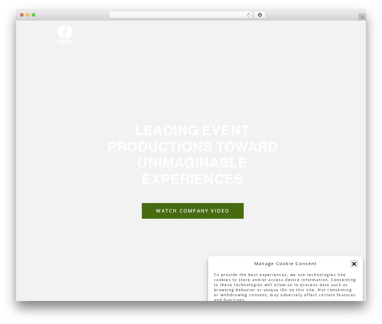 WordPress theme Backbone - backbone-international.com