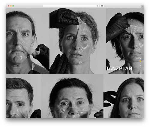 Social Gallery and Widget (catch-instagram-feed-gallery-widget) free WordPress plugin - tanzplan.de