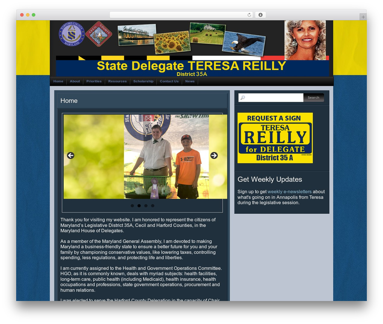 Chip Zero WordPress theme - teresareillyfordelegate.com