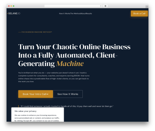 Ai WordPress plugin - selane.io