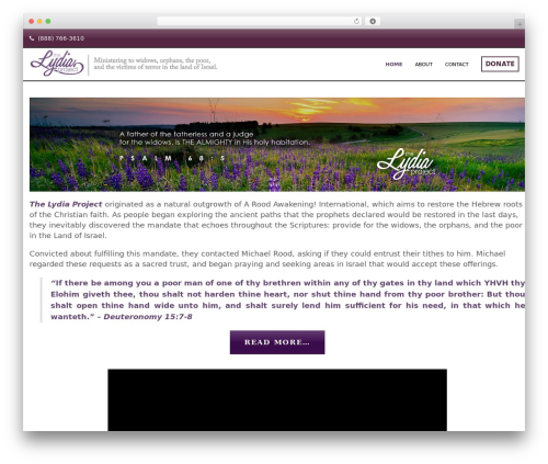 Savior WP theme - thelydiaproject.com