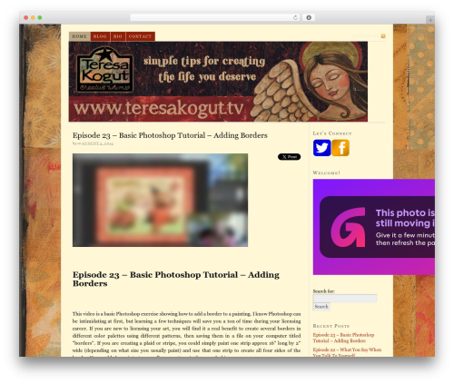 Subscription Options (subscription-options) free WordPress plugin - teresakogut.tv