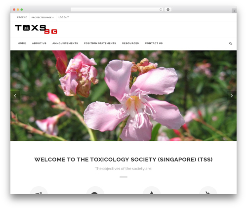 WordPress theme Canvas - toxsg.org
